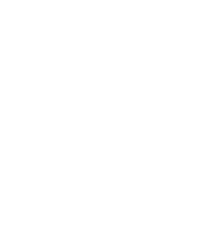 white colour Lenity management logo